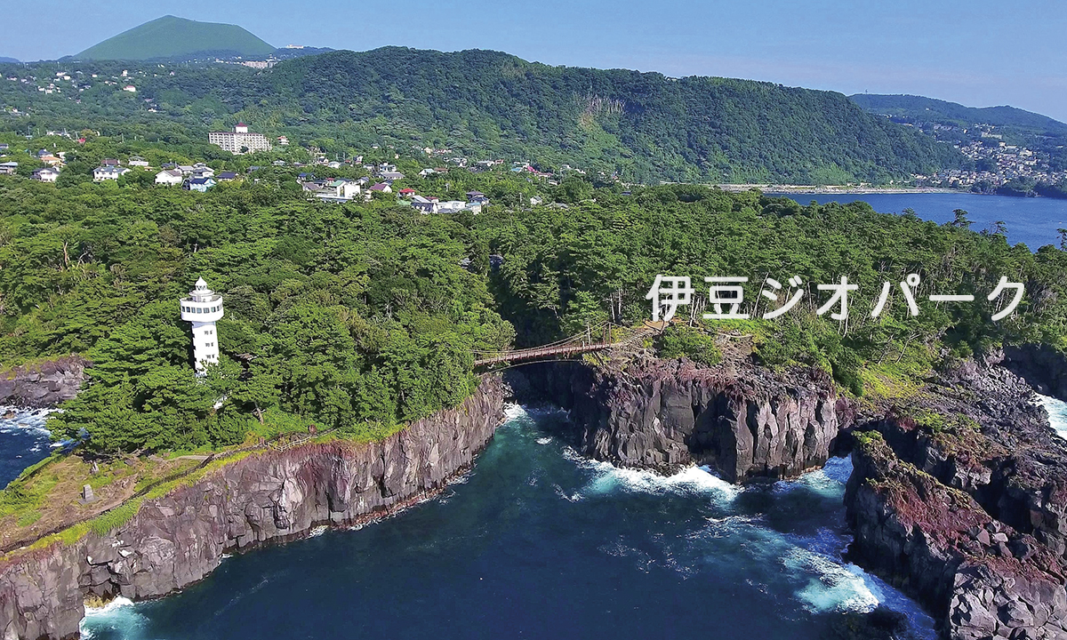 伊豆半島エリア / 5