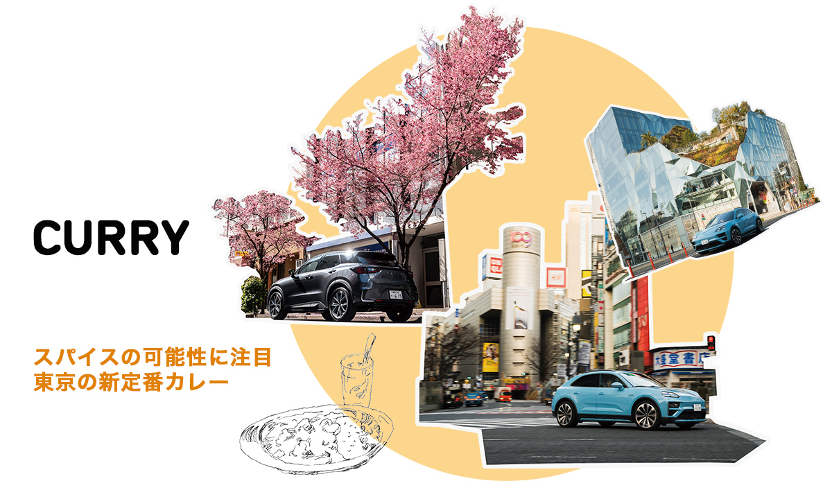 Tokyo New Icon_CURRY